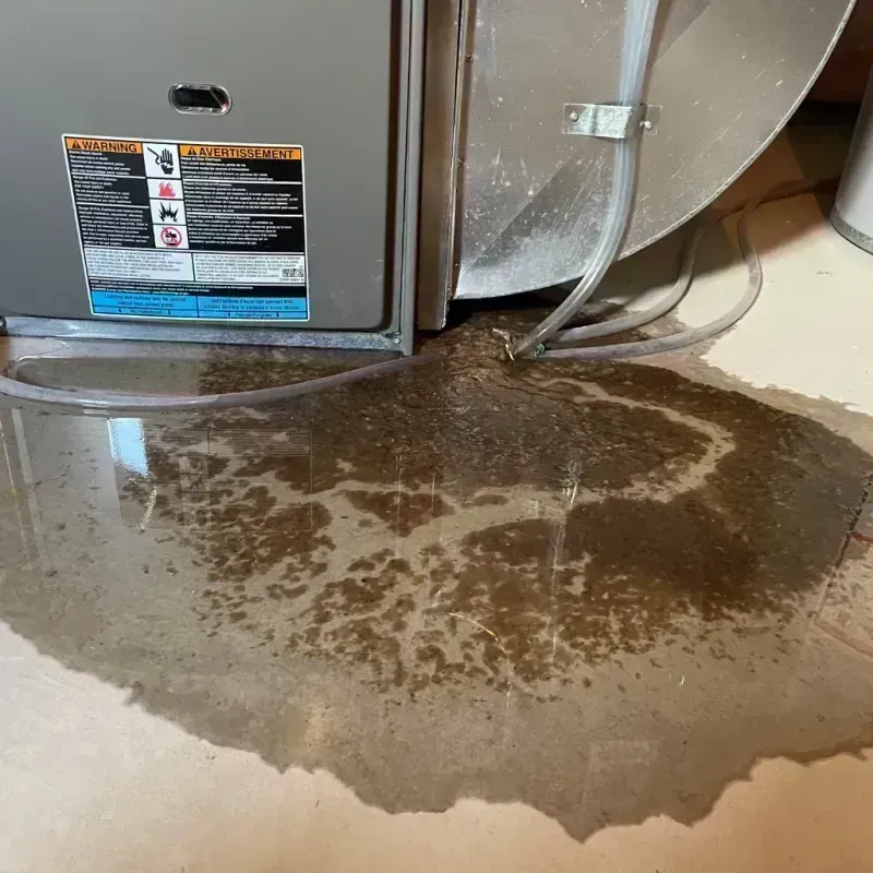 Appliance Leak Cleanup in Stone County, AR